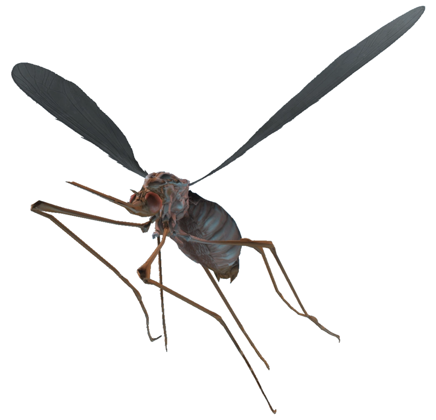 폴아웃) 만약 5편이 나온다 치면 기대되는거_2.webp