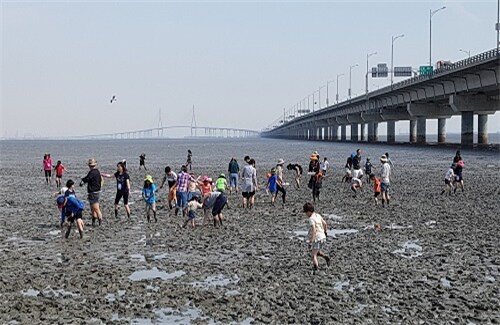 가덕도에 대한 새덕후 논리대로라면 존재해서는 안되는 공항.jpg_7.png