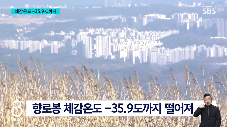 오늘 강원도 기온 특.jpg_3.png