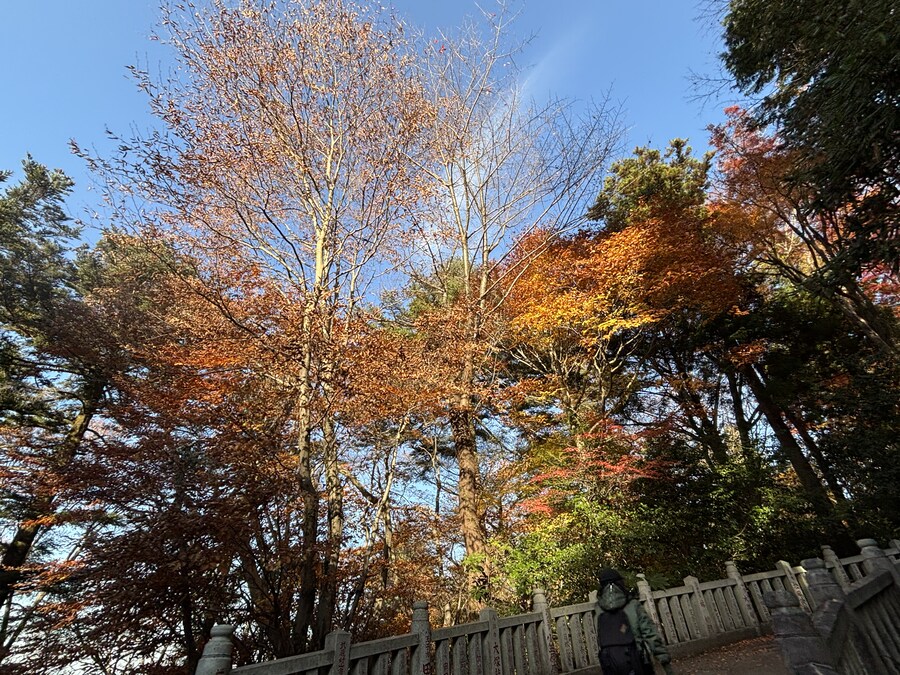 나가노 여행기 01_23.jpg