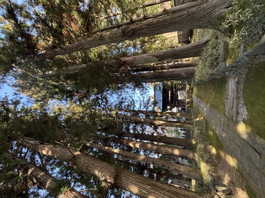 나가노 여행기 01_55.jpg