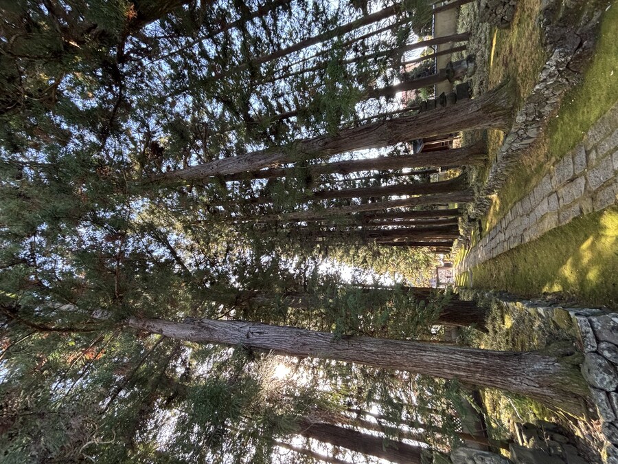 나가노 여행기 01_56.jpg