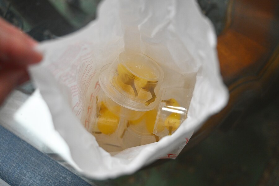 대충 사묵는 인 앤 아웃 버거;ㅎ_2.jpg