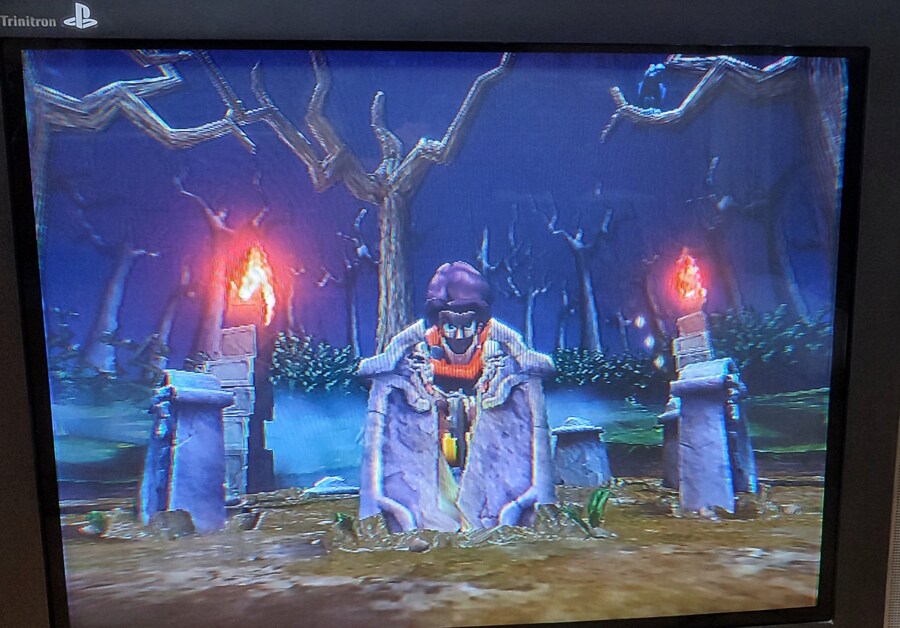 마키시모 맥시모1_3.jpg