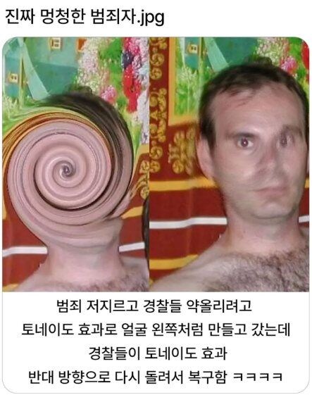 멍청한 범죄자.jpg_1.jpg