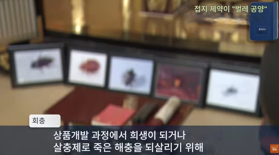 약혐) 일본 한 제약회사의 벌레 공양_3.png