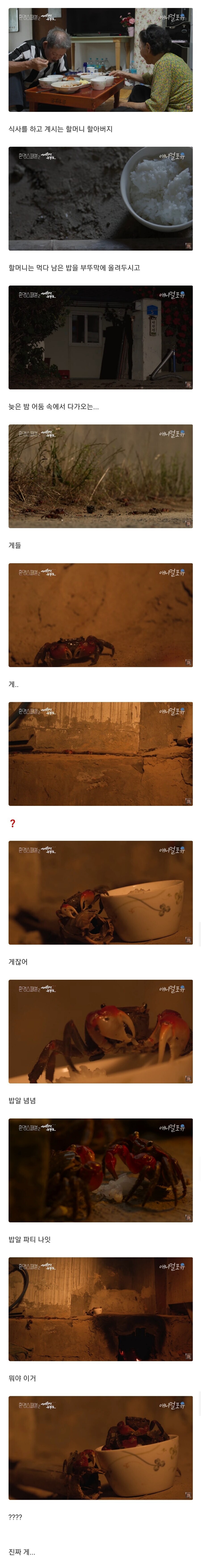 진짜 밥도둑이네;;_1.jpg