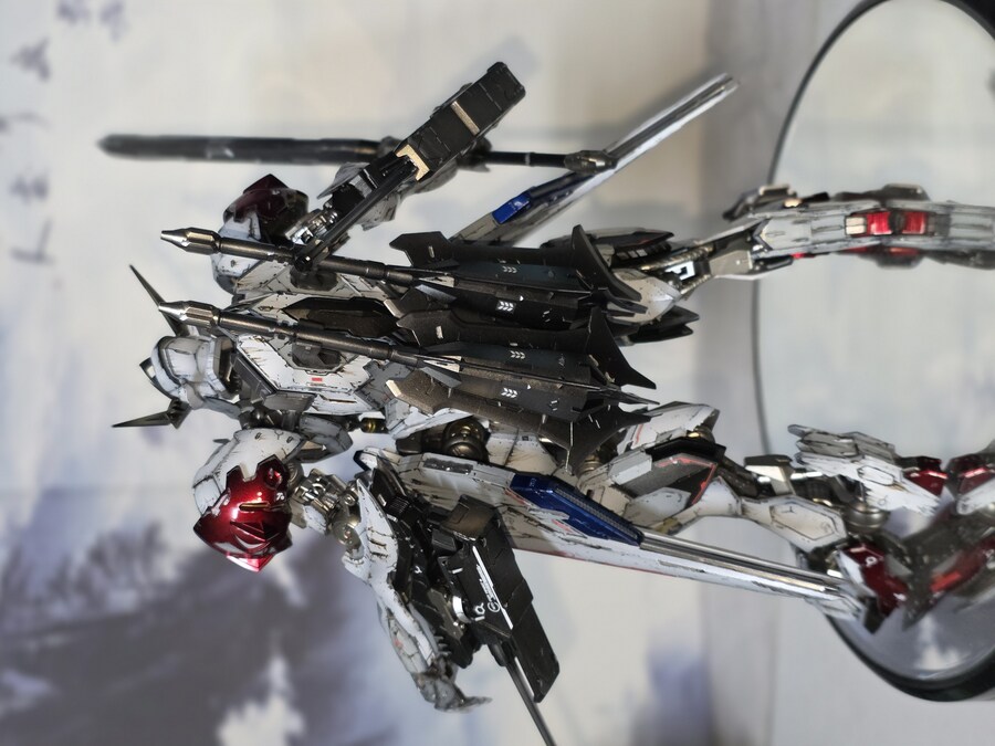 MG 발바토스 루프스 완성_14.jpg