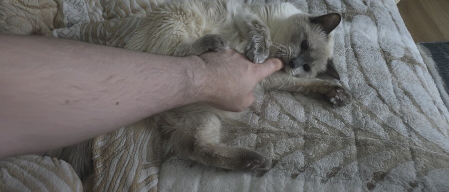 사랑이와 라온이 근황_6.jpg