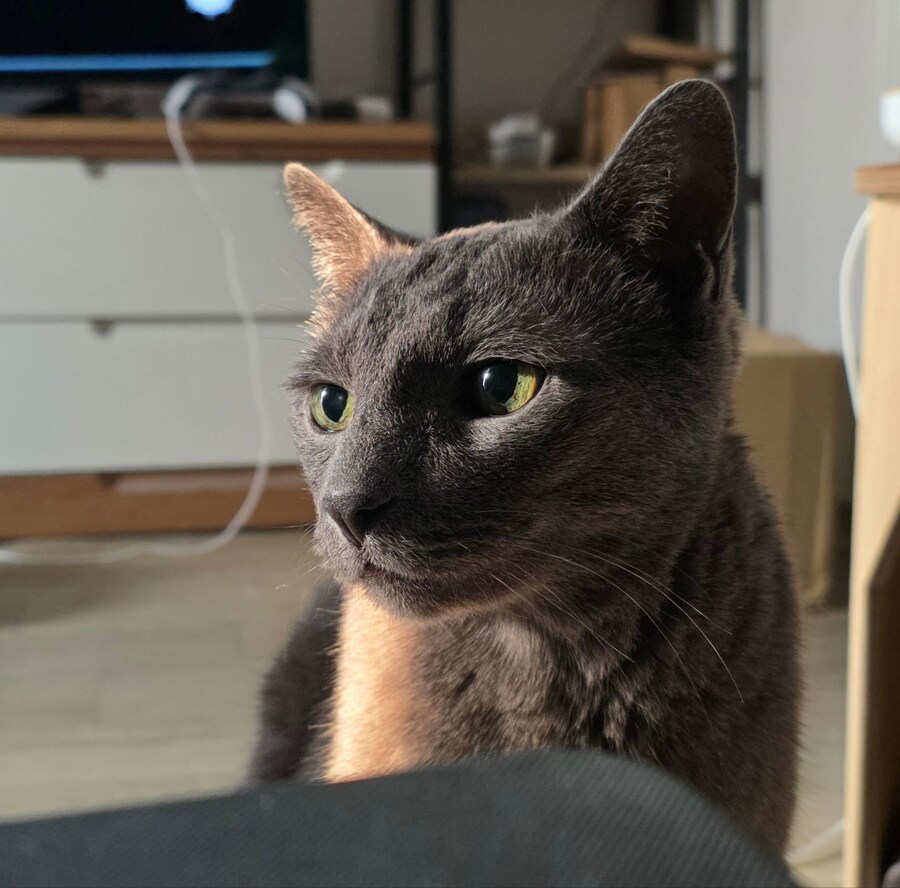 사랑이와 라온이 근황_8.jpg