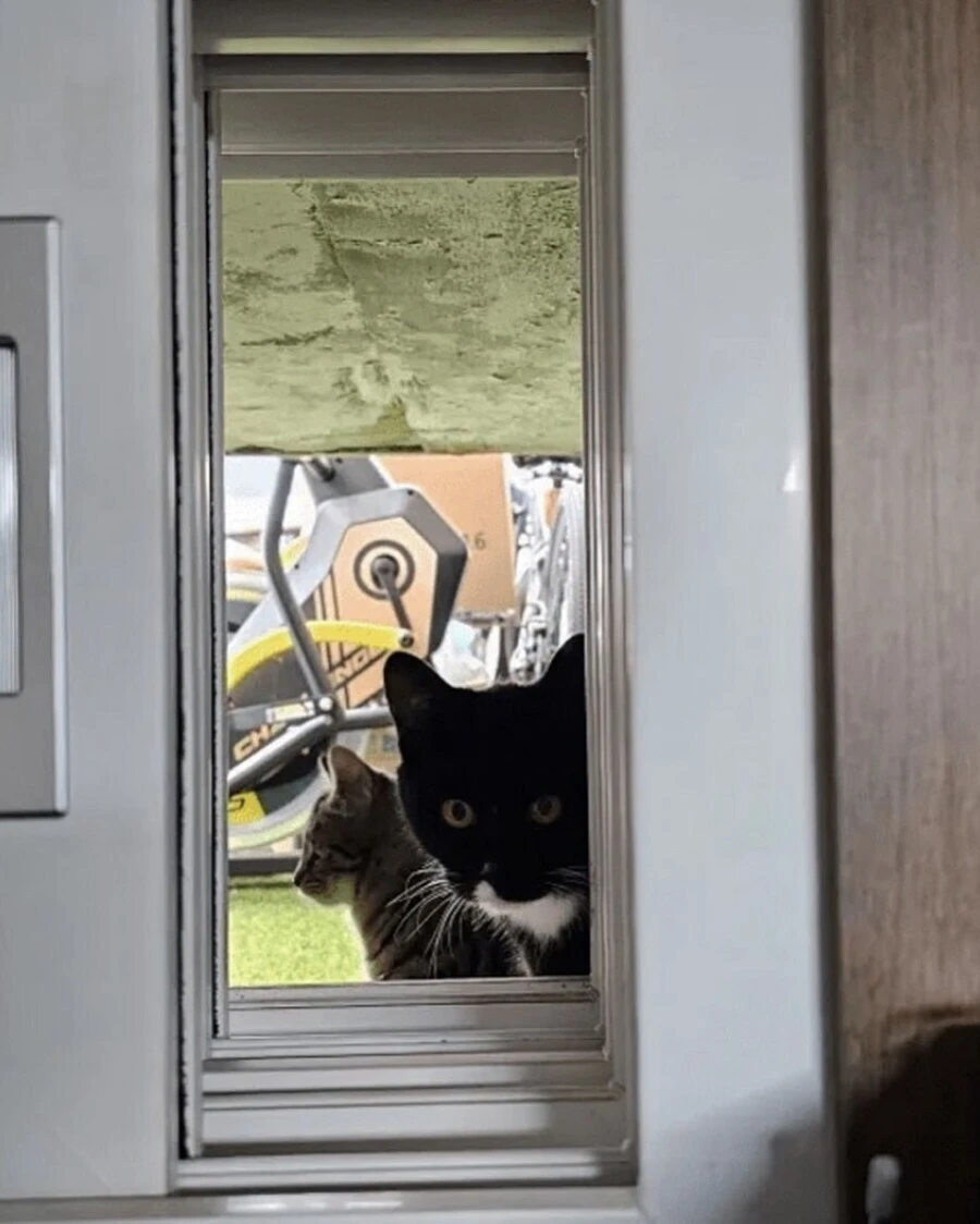 최고의 반지하 옵션_2.webp