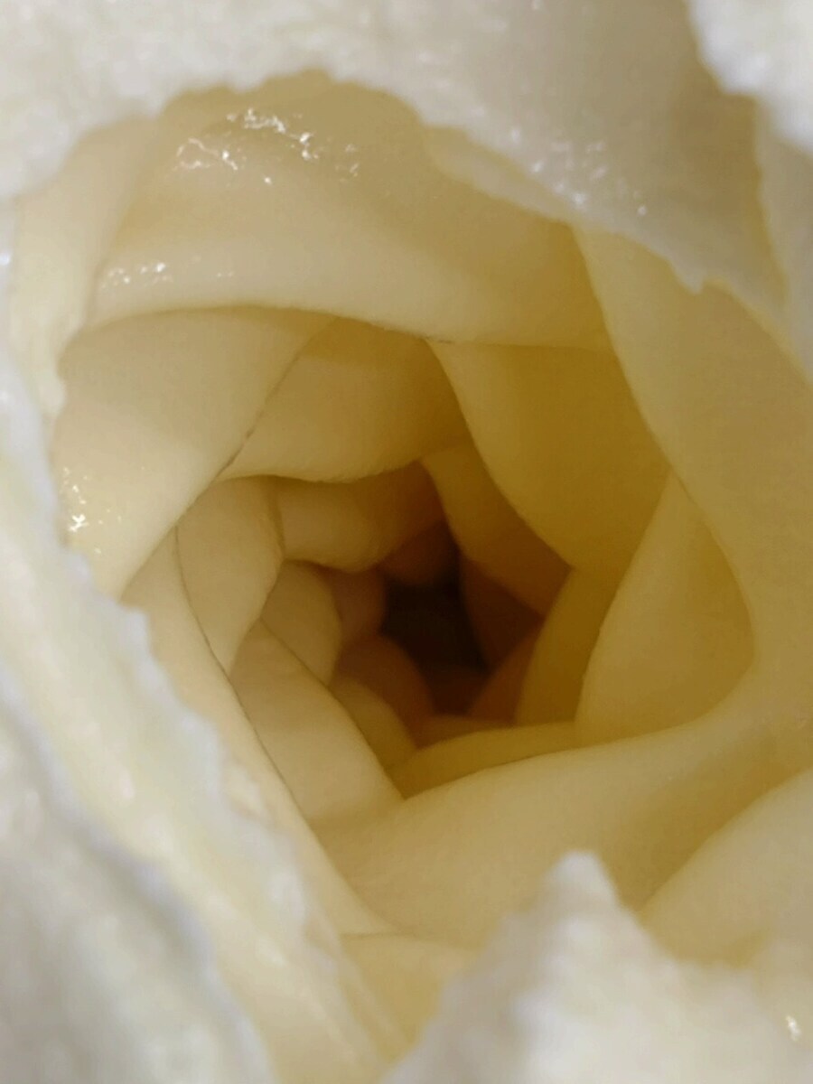 소프트 아이스크림 내부사진_1.jpg