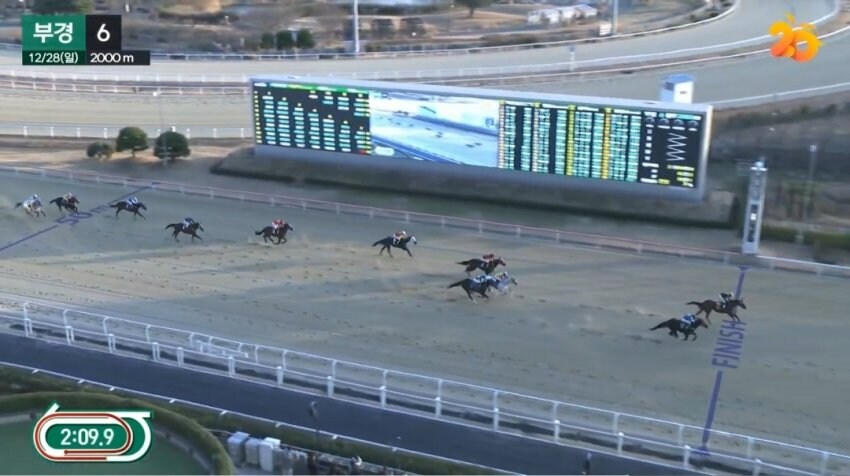 경마)부산 경마에서는 팔코 아들이 우승_1.jpg