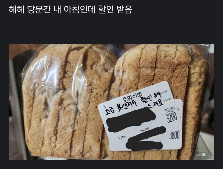 유게이는 환급받는 빵가게.jpg_1.jpg