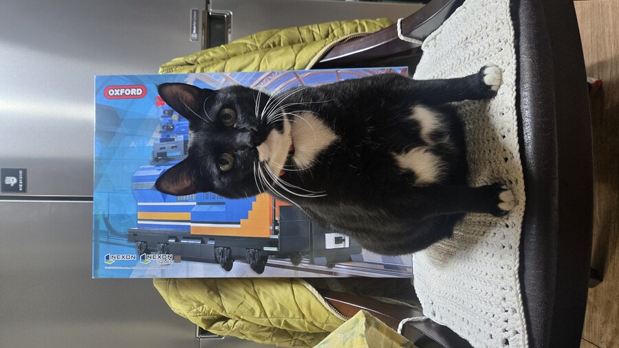 야옹이랑 만드는 블루아카 하이랜더 장갑열차_3.jpg