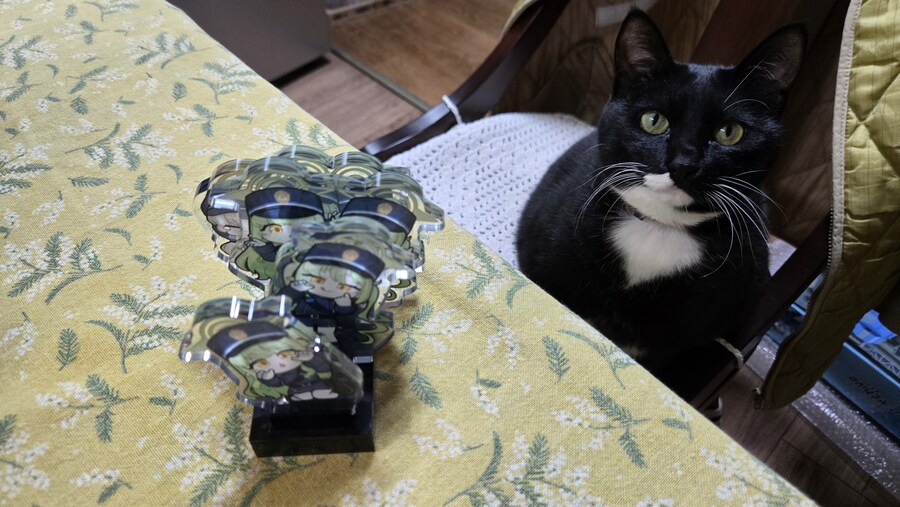 야옹이랑 만드는 블루아카 하이랜더 장갑열차_14.jpg