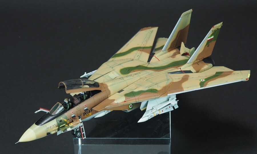 Finemolds 1/72 F-14A Alicat_1.jpg