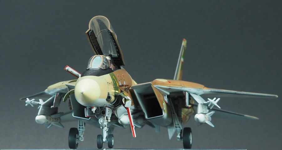 Finemolds 1/72 F-14A Alicat_3.jpg