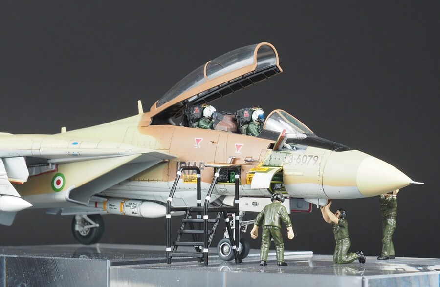 Finemolds 1/72 F-14A Alicat_9.jpg