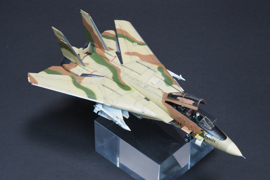 Finemolds 1/72 F-14A Alicat_13.jpg
