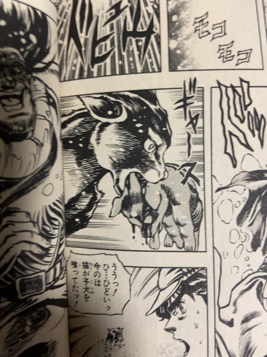 약혐)고양이 존나싫어하는 죠죠작가_1.jpg