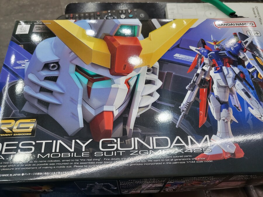 (초보도색)[RG]데스티니 건담 하이네 컬러입니다._1.jpg