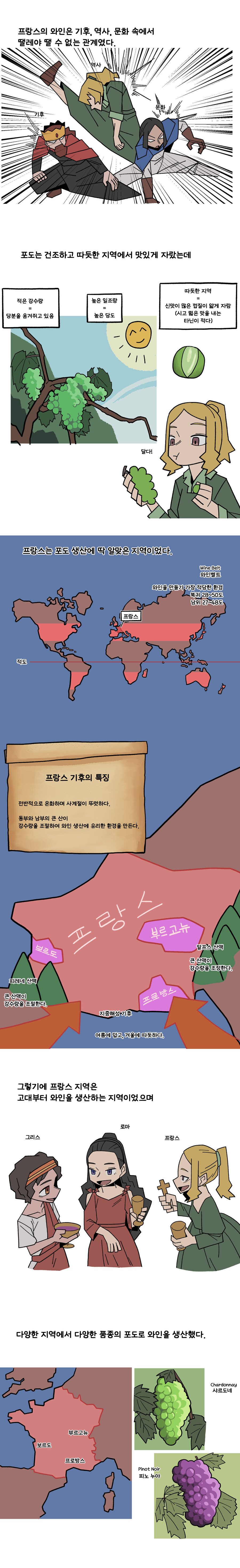 음식 인문학 만화 시즌2) #2. 와인(3) 프랑스 와인_3.jpg