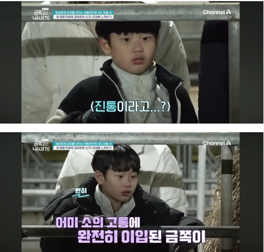 오은영이 범죄자 될 수 있다고 한 금쪽이 근황_3.png