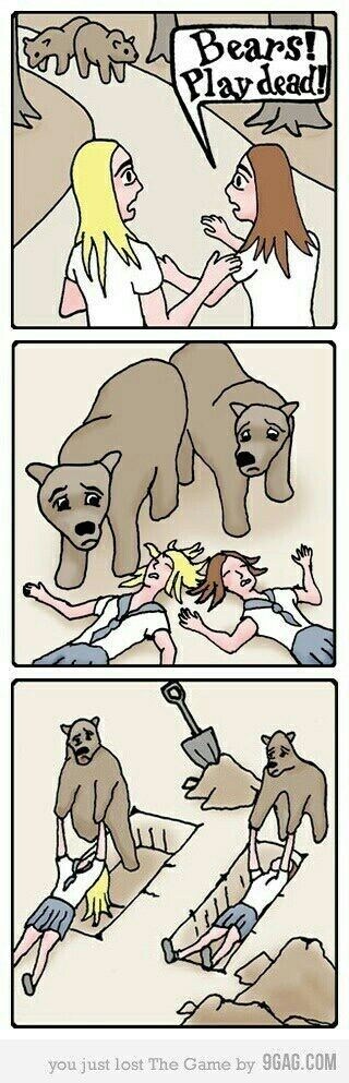 곰 앞에서 기절하지 마시오_1.jpg