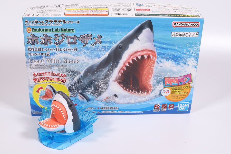 지난 세일 때 구한 백상아리를 조립해봤습니다._1.jpg