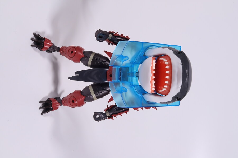 지난 세일 때 구한 백상아리를 조립해봤습니다._8.jpg