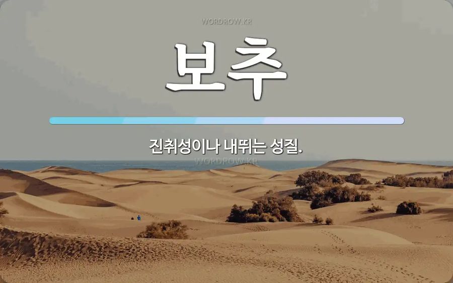 '보추'_4.webp