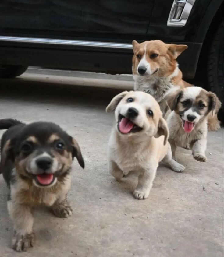 지친 엄마 아직 씐난 애들.jpg_1.jpg