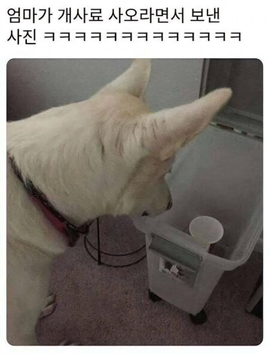 엄마가 개사료 사오라면서 보낸 사진_1.jpg