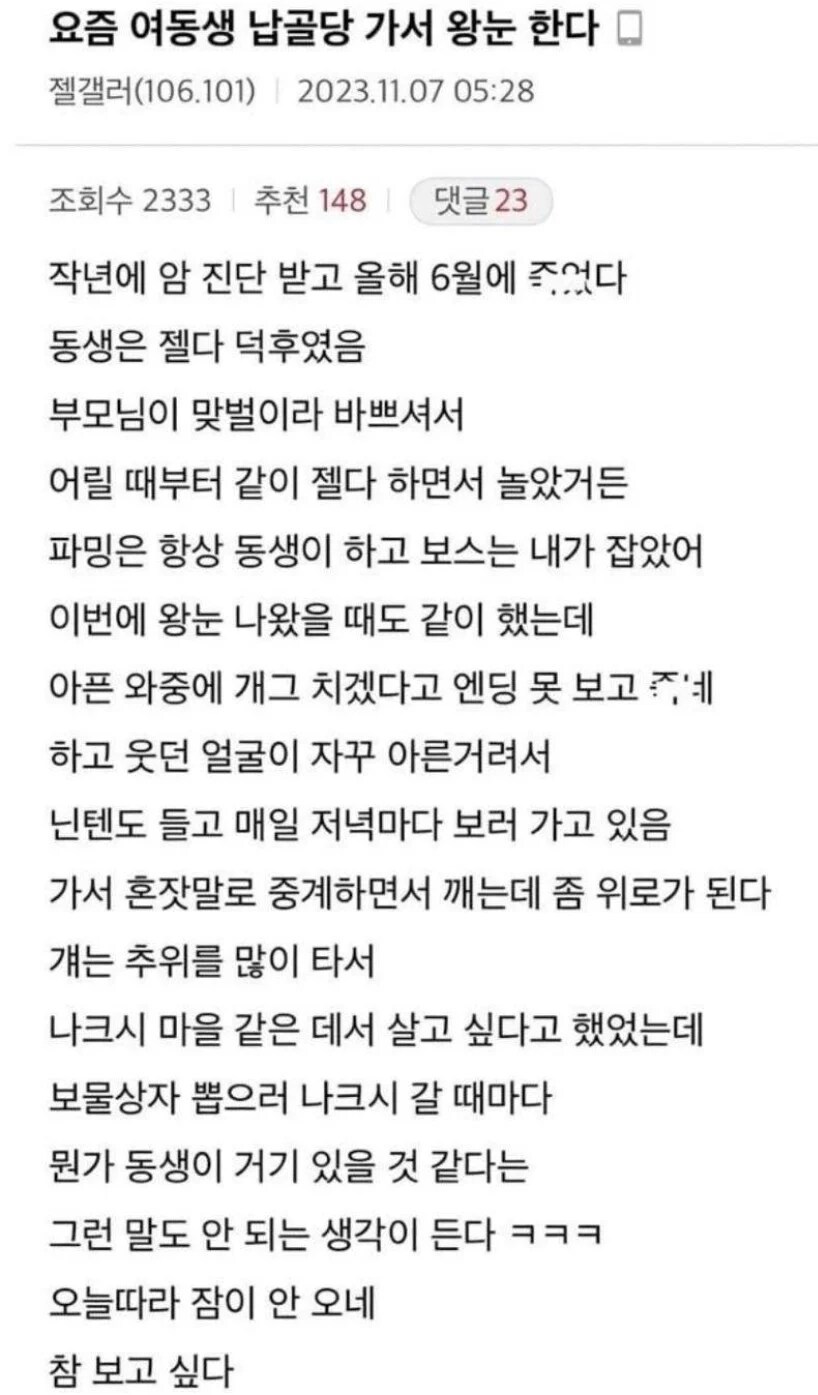 여동생 납골당 가서 닌텐도 하는 친오빠_1.png