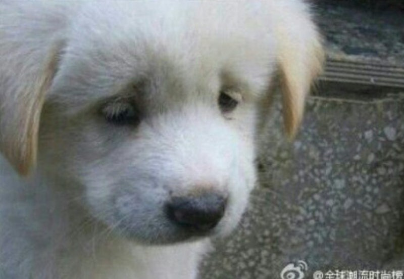 쿠팡) 근데 진짜 한국이 기업봐주기 심각하긴 했나보다.._1.jpg