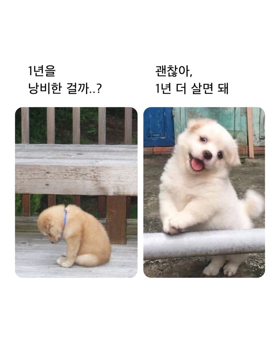 2025년 마지막날 유게이들_1.jpg