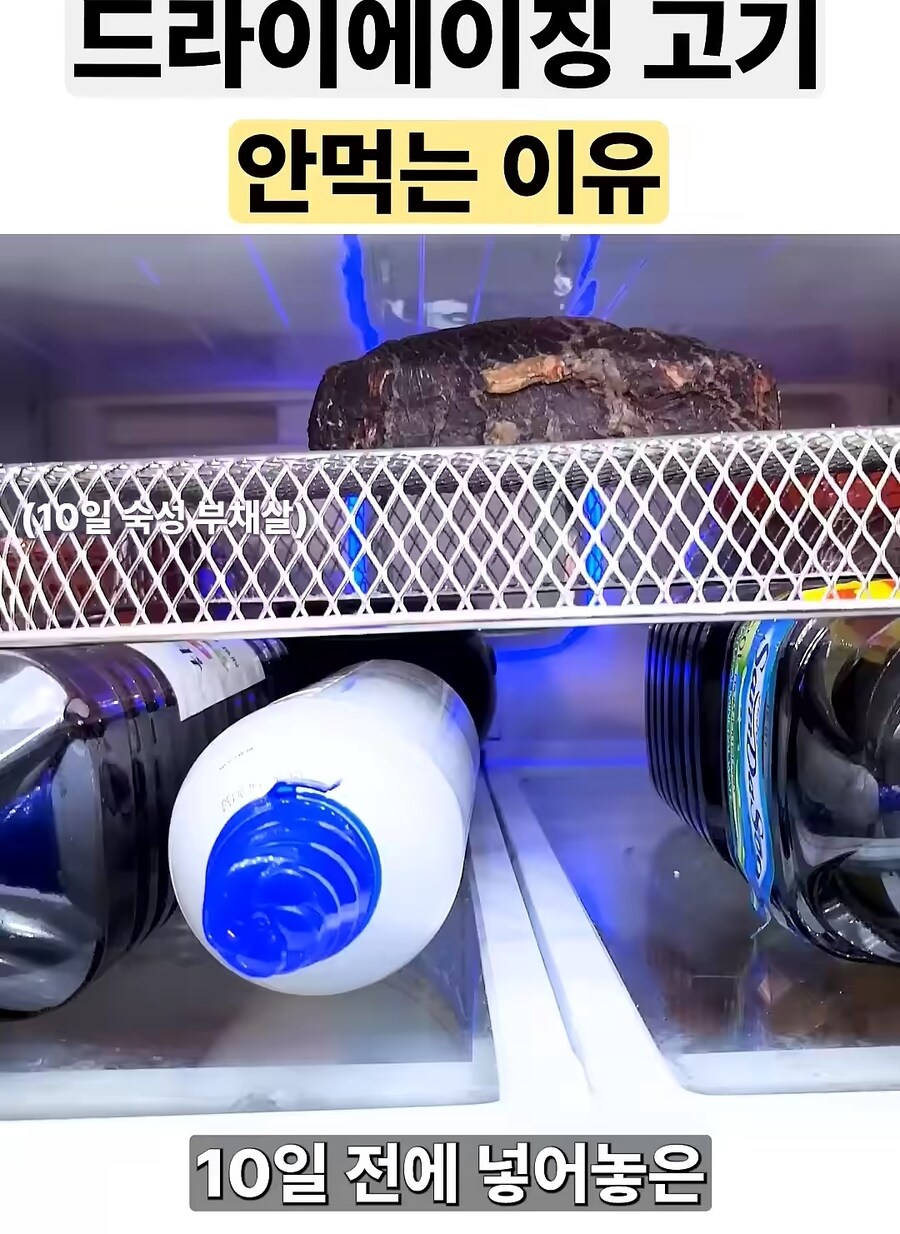 드라이에이징 고기 다시는 안먹는다는 유튜버_1.jpg