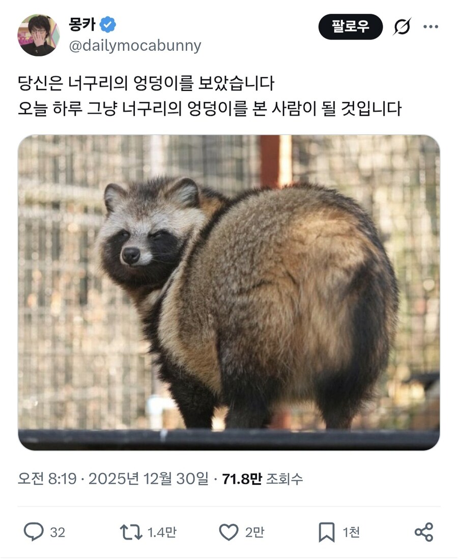 축하합니다, 당신은 너구리 엉덩이를 보았습니다.jpg_1.jpg