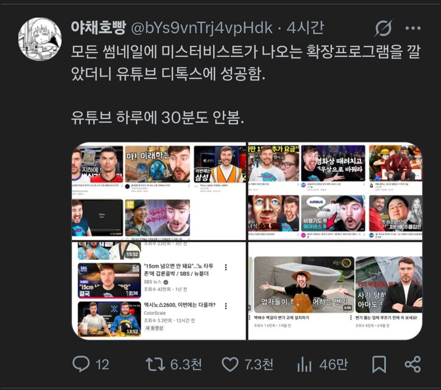 유튜브 디톡스를 성공하는법.jpg_1.jpg