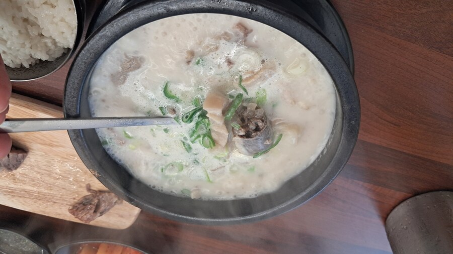 2025년 헌혈 + 강남 점심 기록 - 하반기(스압 주의)_15.jpg