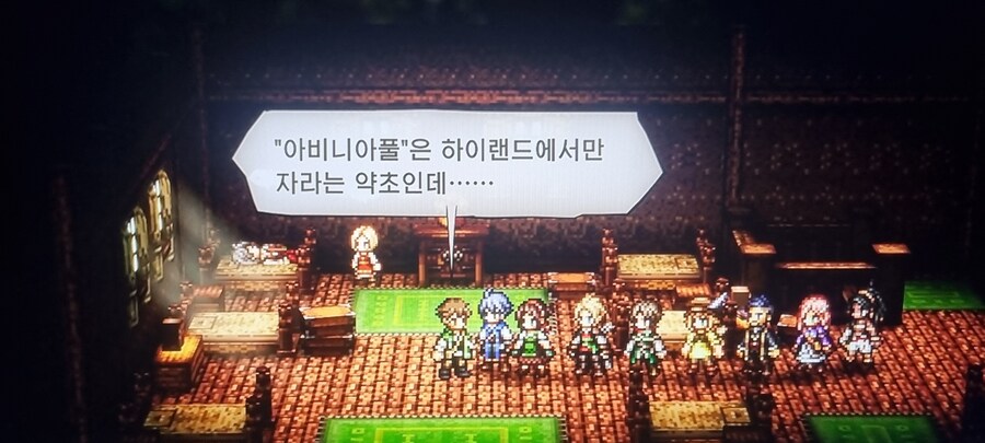 아비니아풀 질문드립니다!_1.jpg