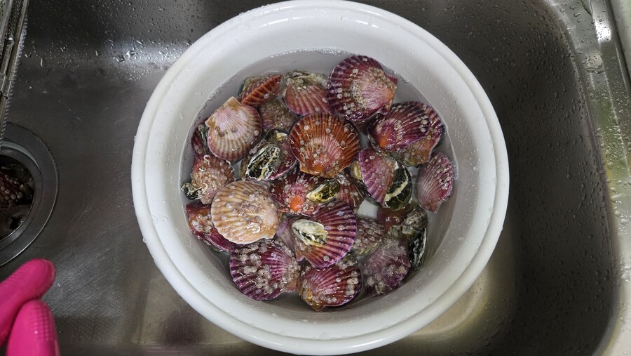 야옹이랑 먹는 석화가리비찜_19.jpg