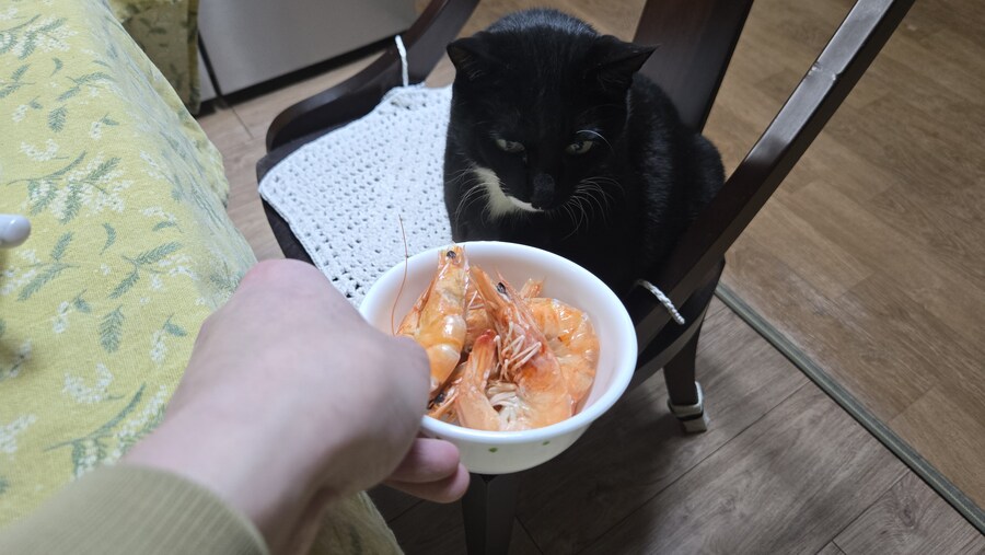 야옹이랑 먹는 석화가리비찜_25.jpg