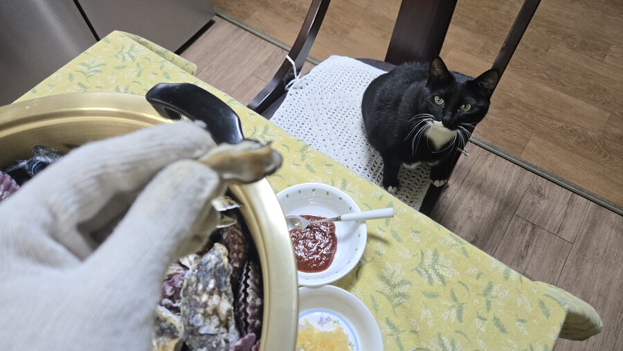야옹이랑 먹는 석화가리비찜_28.jpg