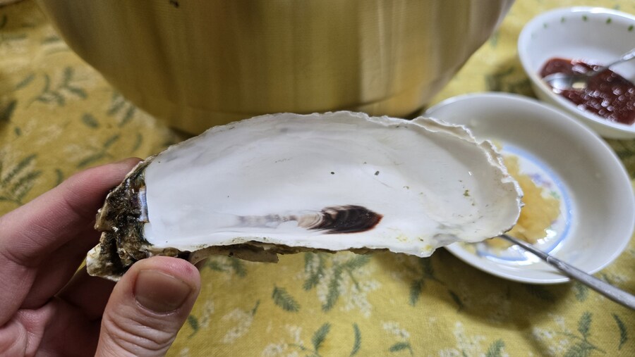 야옹이랑 먹는 석화가리비찜_34.jpg