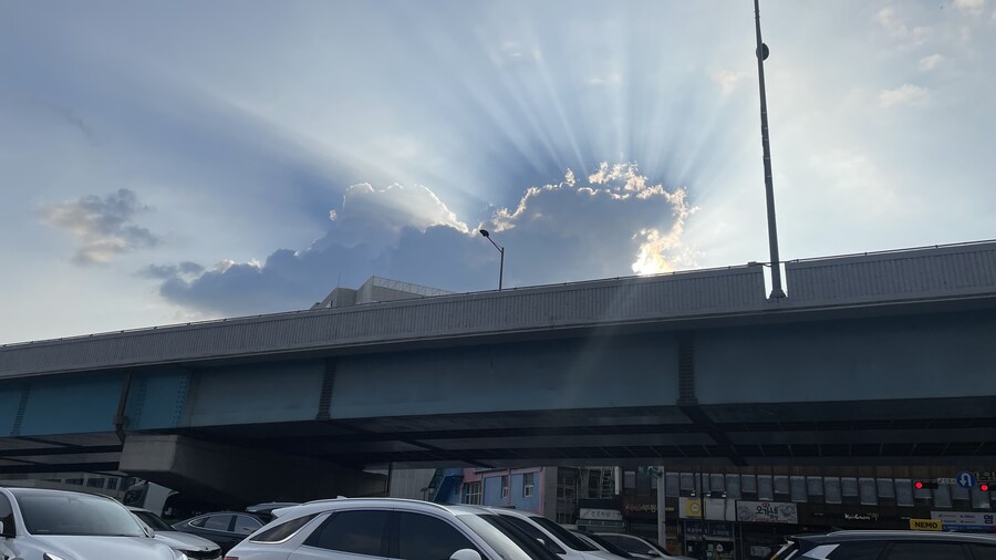 음식사진과 풍경사진 모음_5.jpg