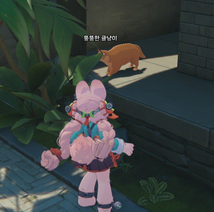 젠레스)어떻게 이름이 귤냥이_1.png