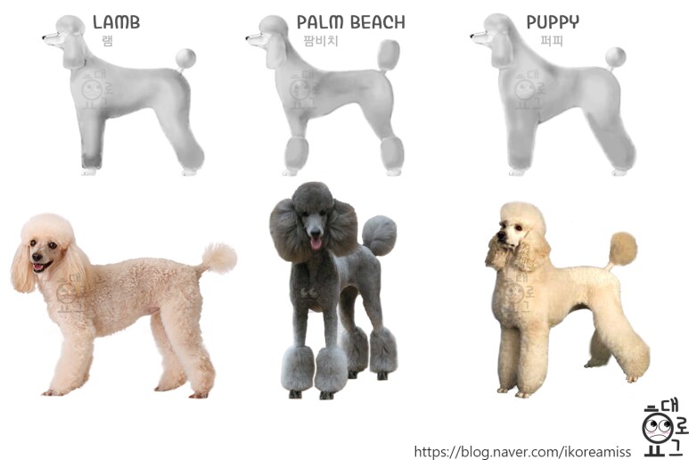 [데빌냐] 강아지 미용 내용 확인의 건_2.png
