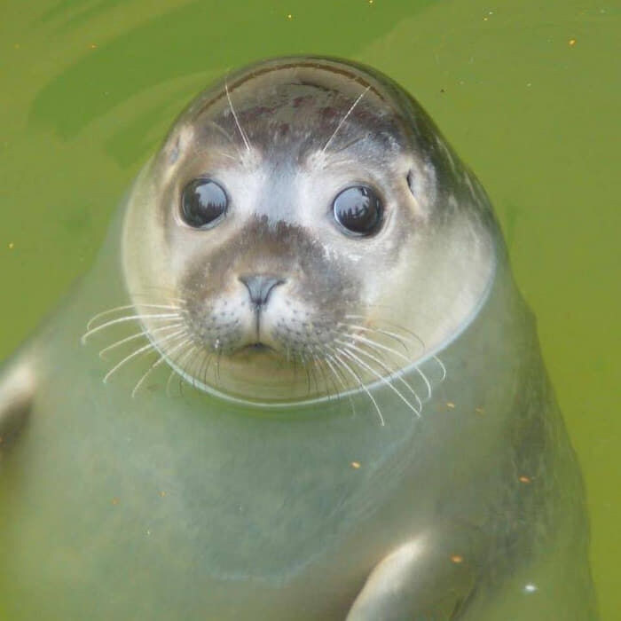 ???: 극장에서 영화를 왜 봄?.movie_4.jpg